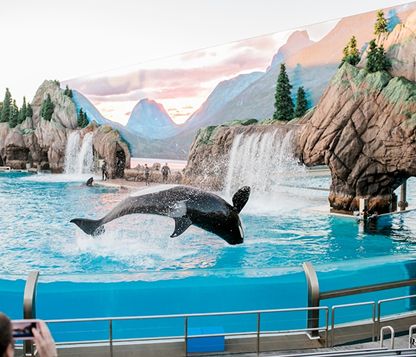 SeaWorld