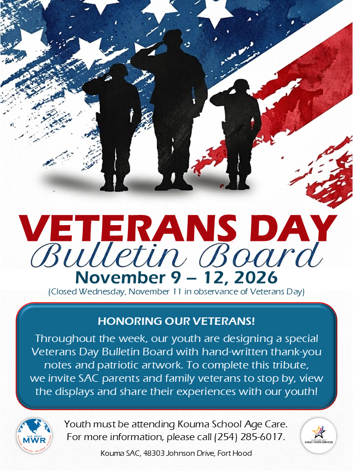 Veterans Day Bulletin Board