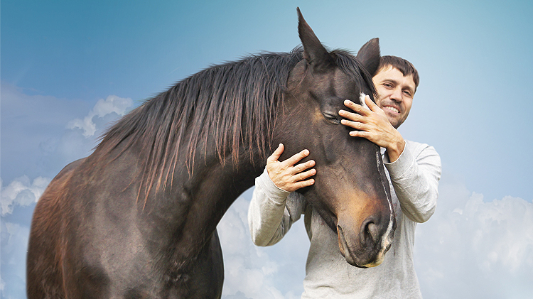 Equine Therapy Equine Therapy