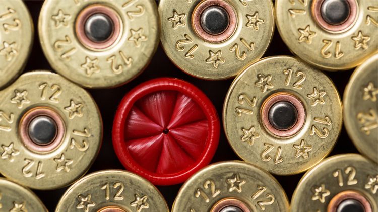 CAVA_ShotgunShells_750x421.jpg
