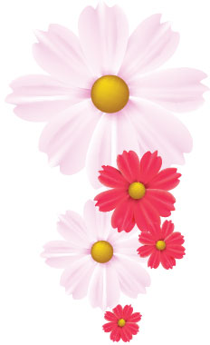 HOOD_Carnations.jpg